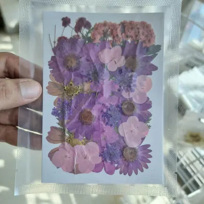 Purple Haze Mix Pressed Flowers