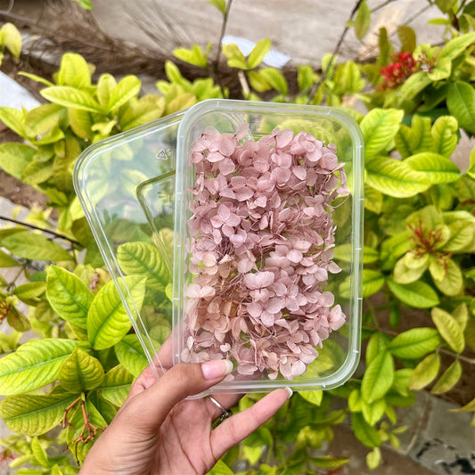 Vintage Blush Hydrangea Flower Box